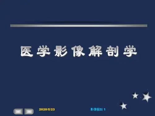 (医学文档)颈部、头颈部影像解剖PPT演示课件