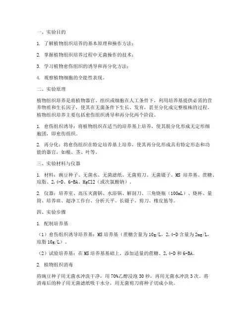 生物培养植物实验报告