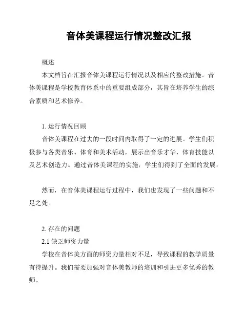 音体美课程运行情况整改汇报