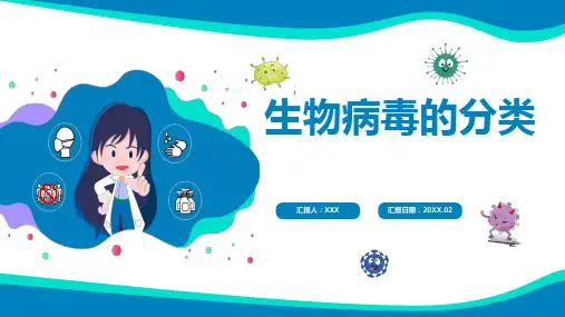生物病毒的分类PPT课件