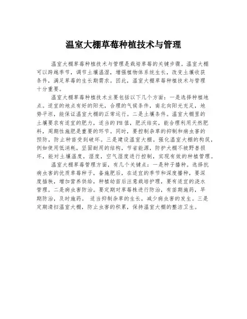 温室大棚草莓种植技术与管理