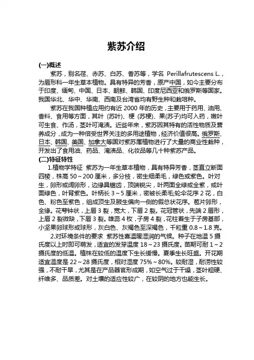 紫苏介绍和功能,主要成分