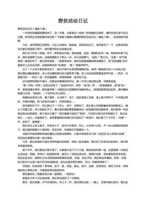 野炊活动日记（精选5篇）