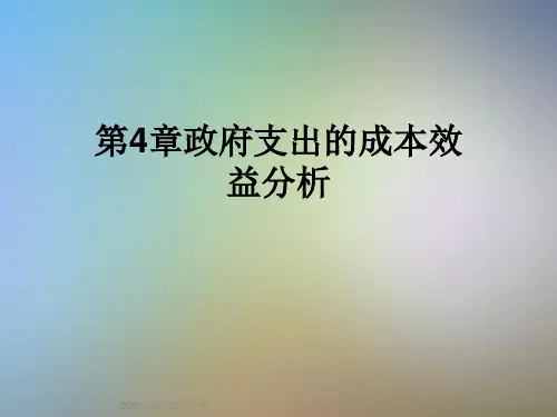 第4章政府支出的成本效益分析
