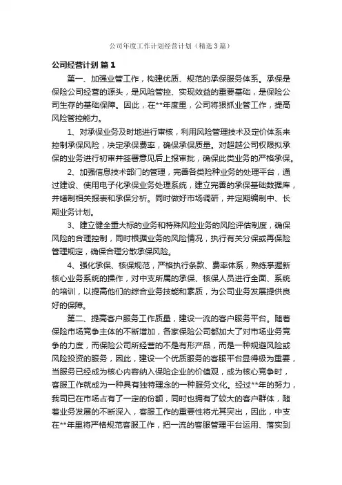 公司年度工作计划经营计划（精选3篇）
