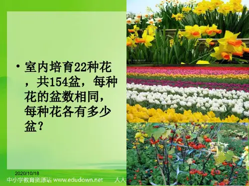 参观苗圃 PPT(北师大版)PPT优选课件