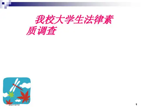 李加文-大学生道德素质调查报告PPT课件