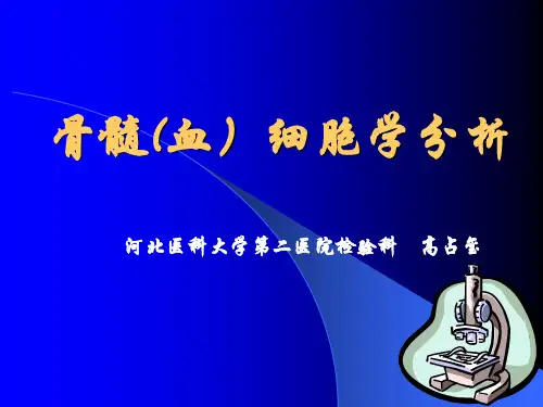 血象和骨髓象