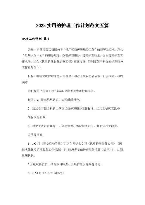 2023实用的护理工作计划范文五篇