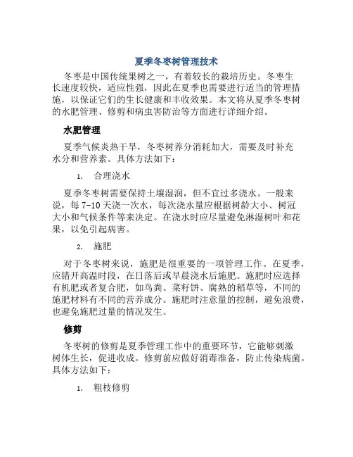 夏季冬枣树管理技术