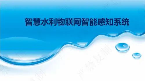 智慧水利物联网智能感知系统