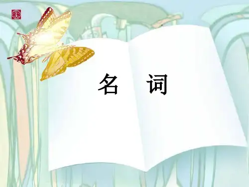 初中英语语法名词