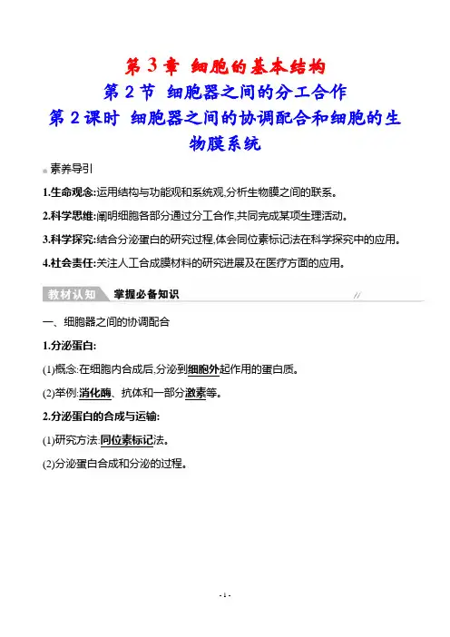 人教生物必修1教案：3-2 第2课时细胞器之间的协调配合和细胞的生物膜系统