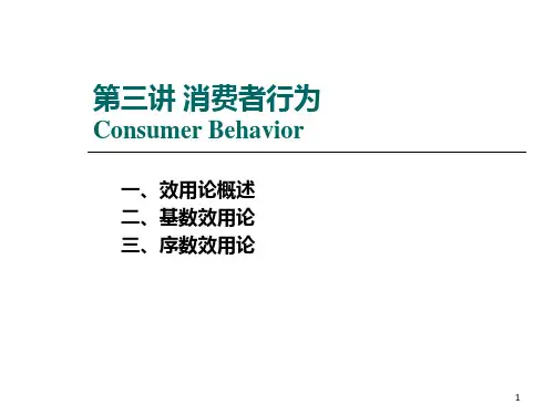 第讲消费者行为PPT课件