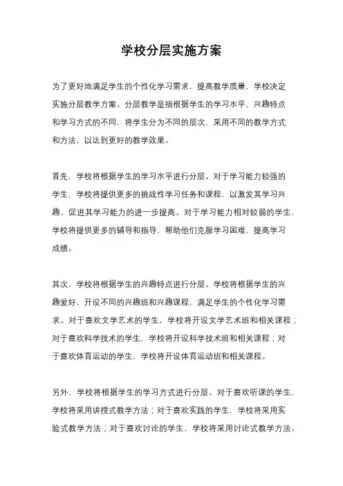 学校分层实施方案