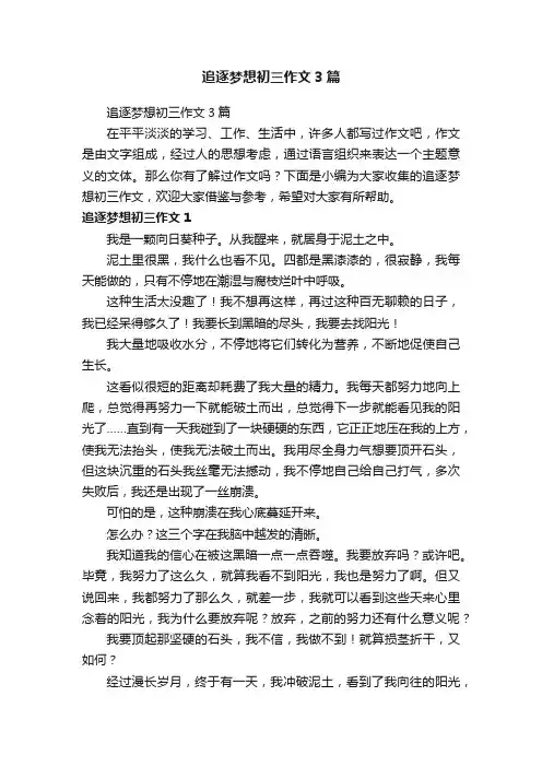 追逐梦想初三作文3篇