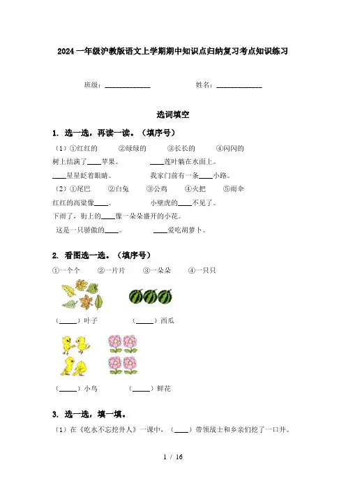 2024一年级沪教版语文上学期期中知识点归纳复习考点知识练习