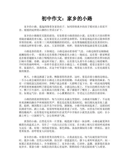 初中作文家乡的小路