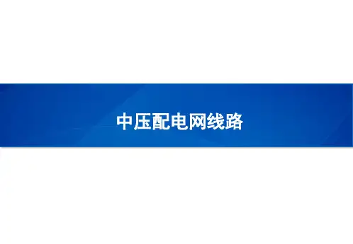 中压配电网线路