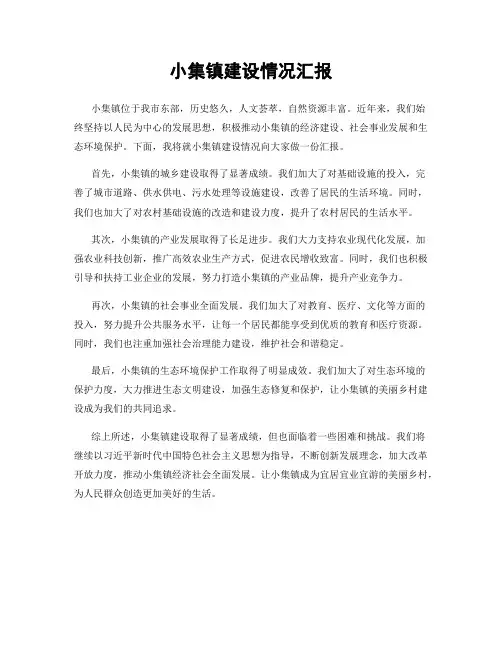 小集镇建设情况汇报