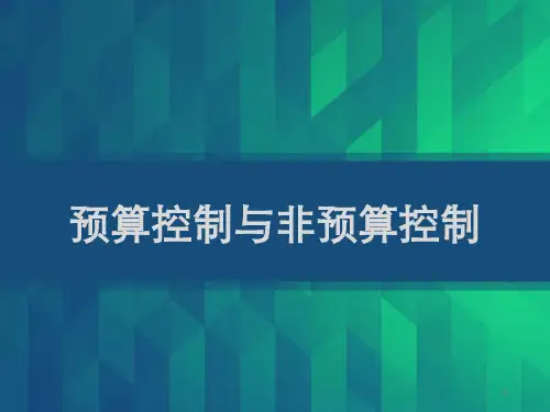 预算控制与非预算控制 PPT