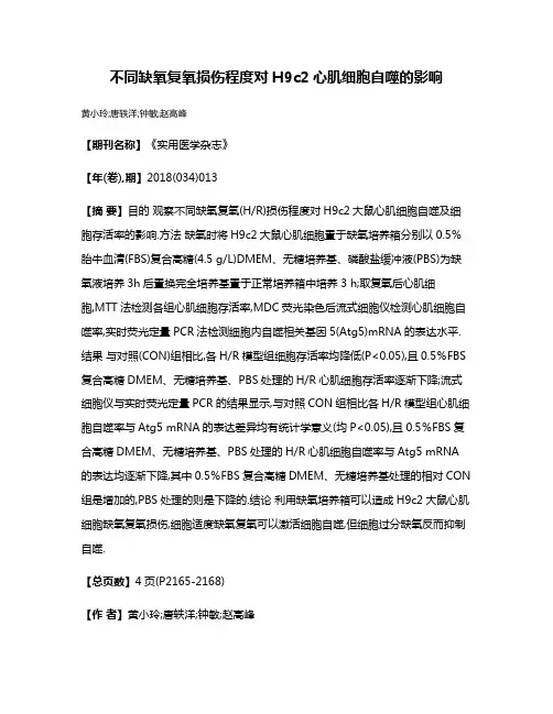不同缺氧复氧损伤程度对H9c2心肌细胞自噬的影响