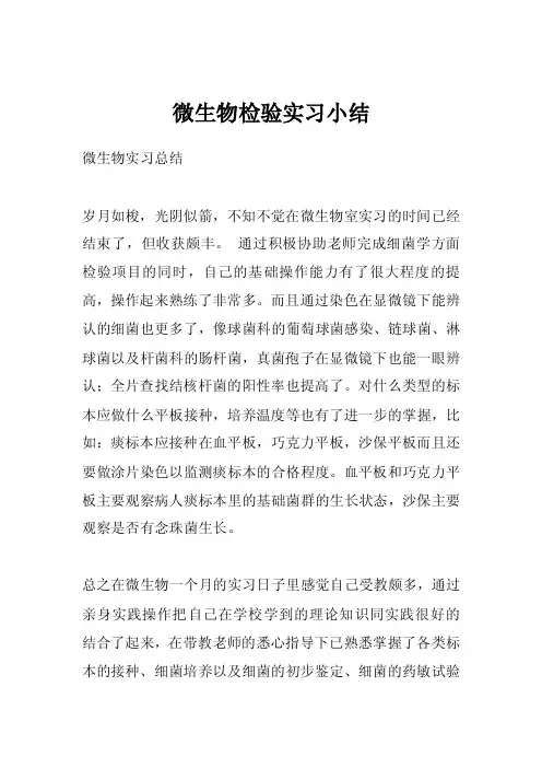 微生物检验实习小结