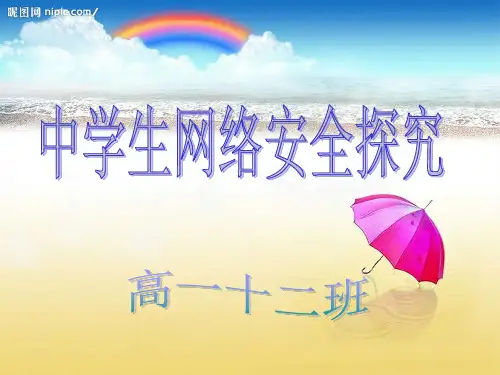 中学生网络安全探究结题报告