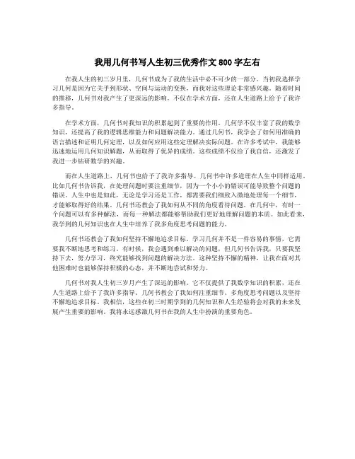 我用几何书写人生初三优秀作文800字左右