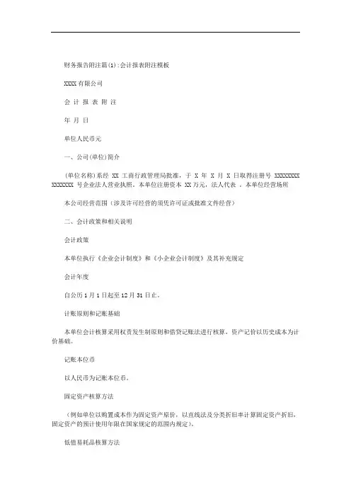 财务报告附注范文