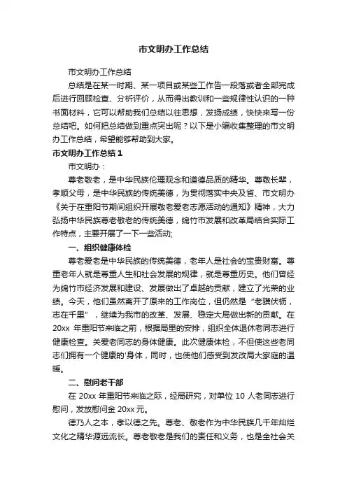 市文明办工作总结