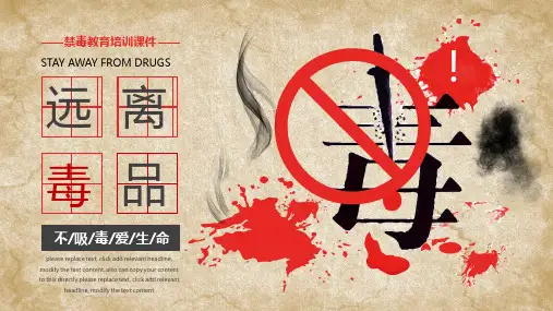 禁毒教育培训课件