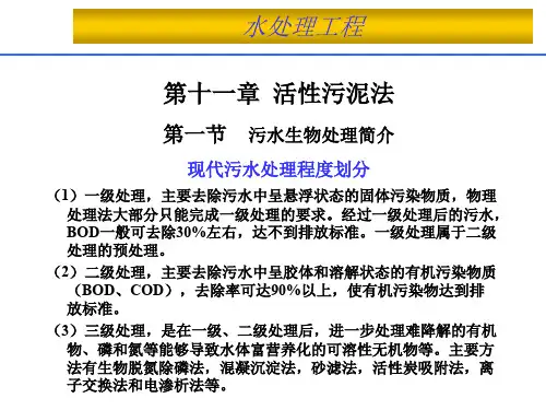 水处理工程活性污泥ppt课件