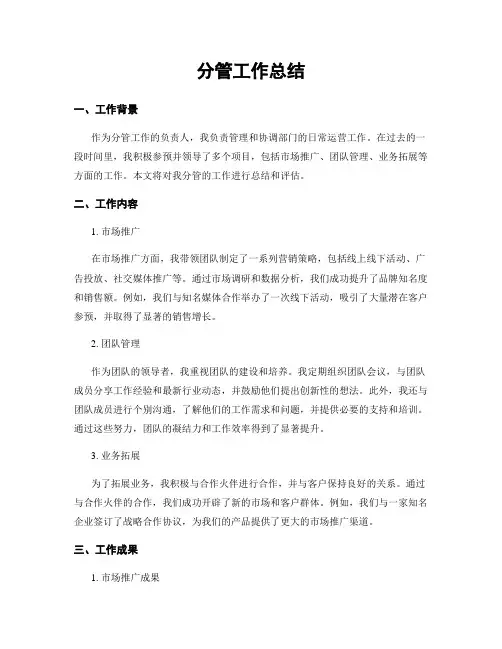 分管工作总结