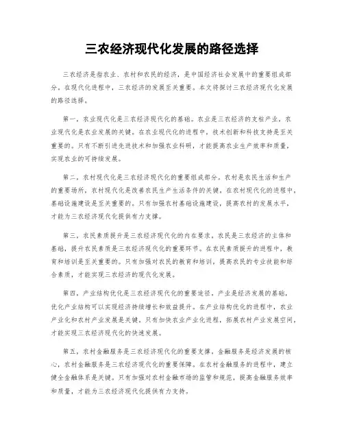 三农经济现代化发展的路径选择