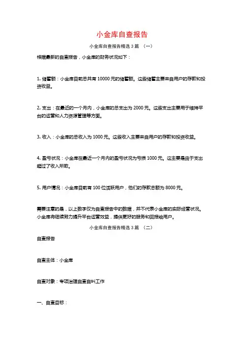 小金库自查报告3篇