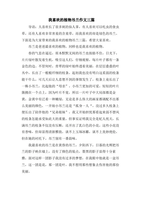 我喜欢的植物吊兰作文三篇