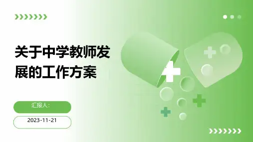 关于中学教师发展的工作方案