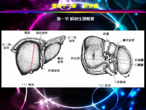 外科学(肝疾病)  ppt课件