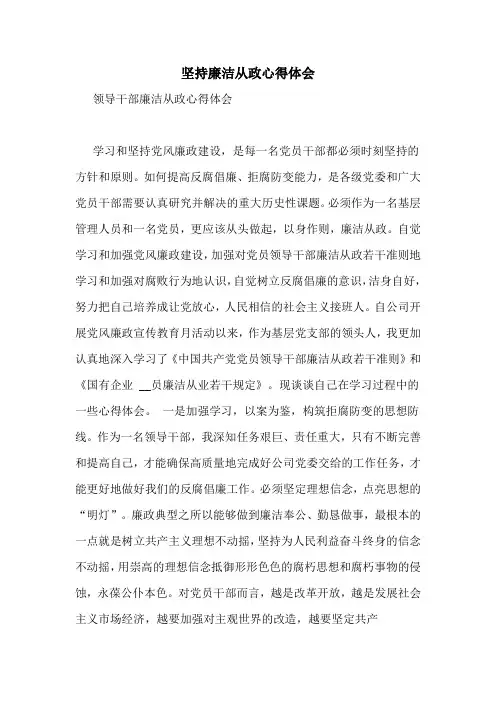 坚持廉洁从政心得体会