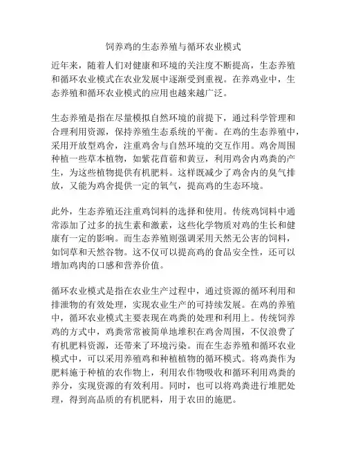 饲养鸡的生态养殖与循环农业模式