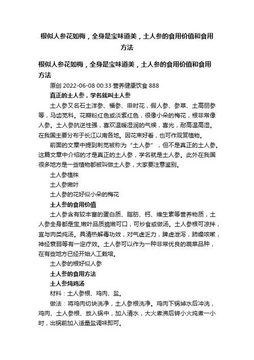 根似人参花如梅，全身是宝味道美，土人参的食用价值和食用方法