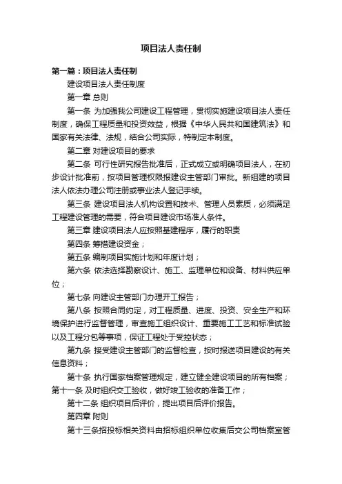 项目法人责任制