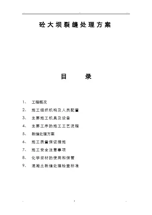 大坝裂缝处理方案
