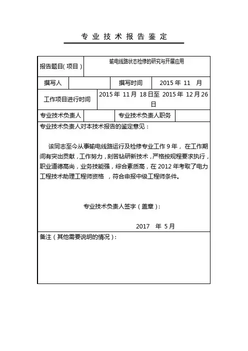 3.专业技术报告鉴定证明