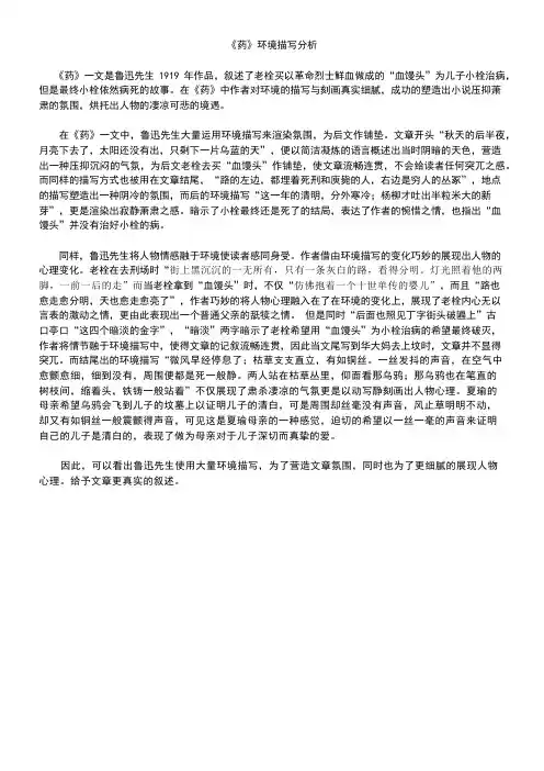 《药》环境描写分析1
