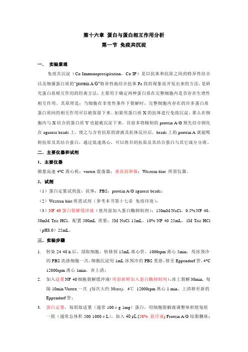 免疫共沉淀