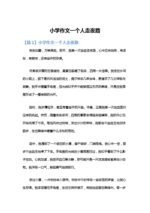 小学作文一个人走夜路