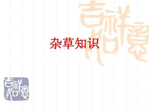 杂草知识