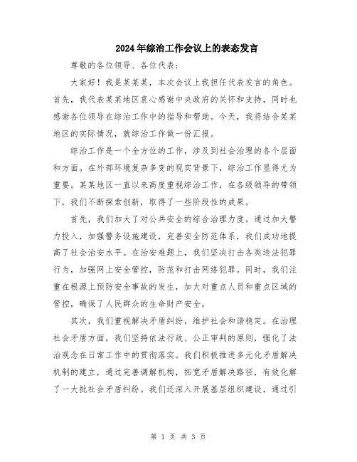 2024年综治工作会议上的表态发言